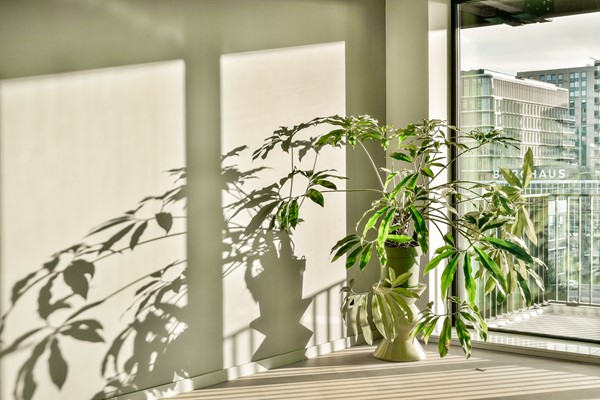 Medium property photo - Rijnlandlaan 271, 1062 MX Amsterdam